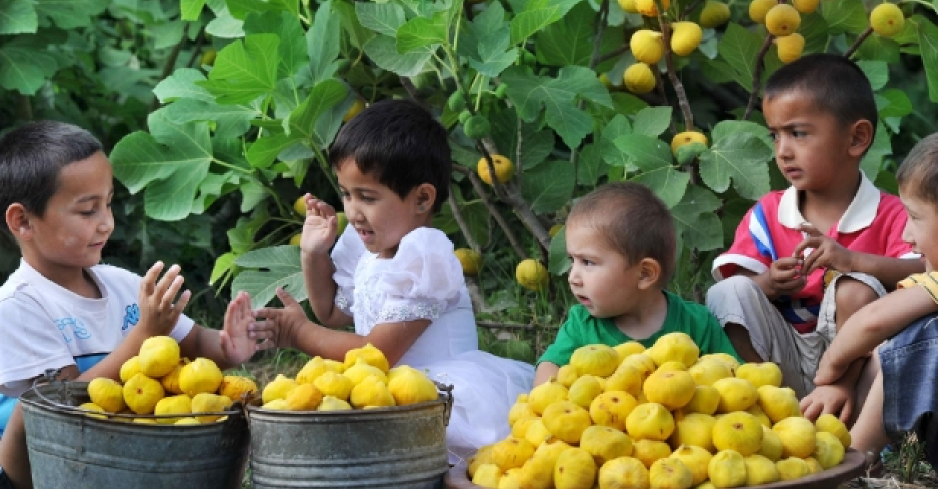 <CMSPRO_DOCUMENT FIELD='title'></CMSPRO_DOCUMENT>